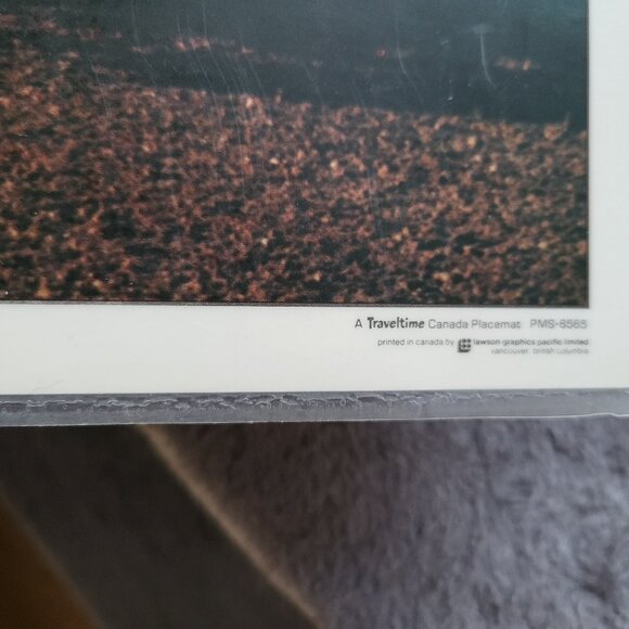 1975 CALGARY STAMPEDE PLASTIC 2-SIDED PLACEMAT EMBLEM/CHUCKWAGON RACING RARE GUC - Picture 4 of 7